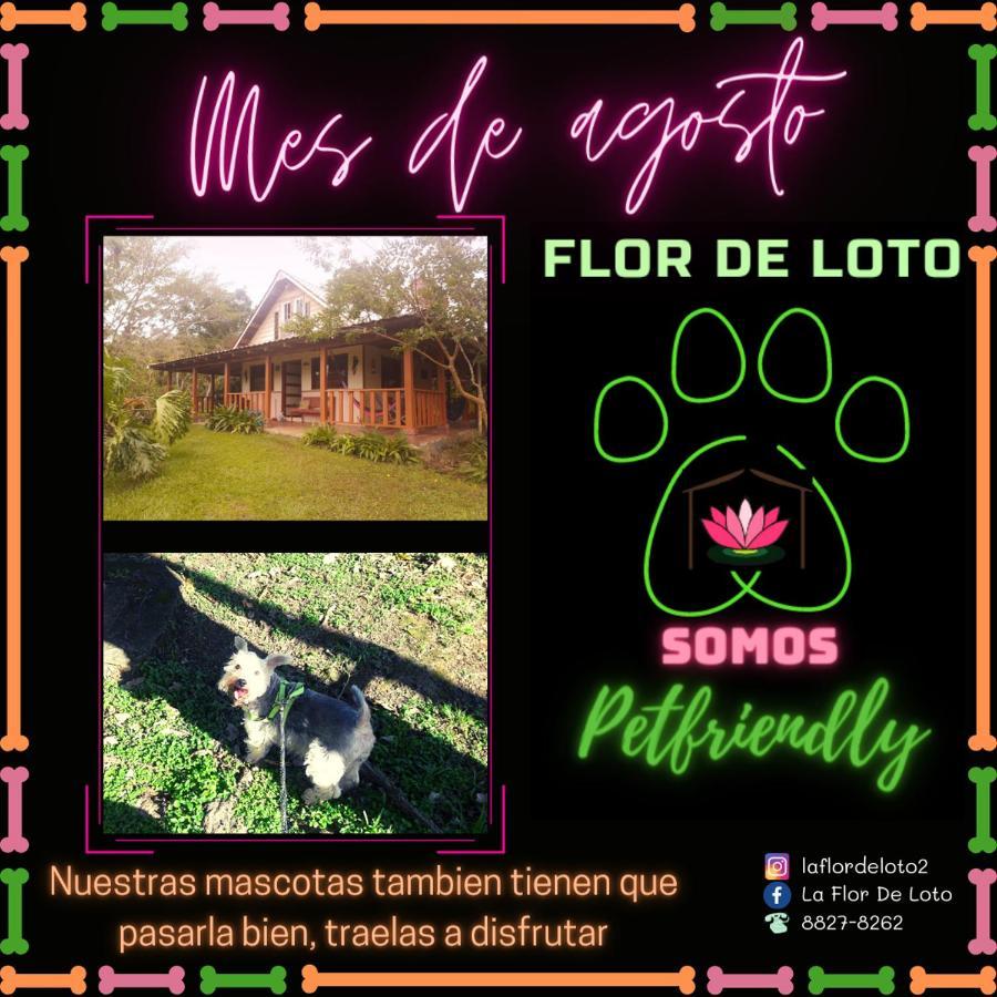Вилла La Flor De Loto Картаго Экстерьер фото